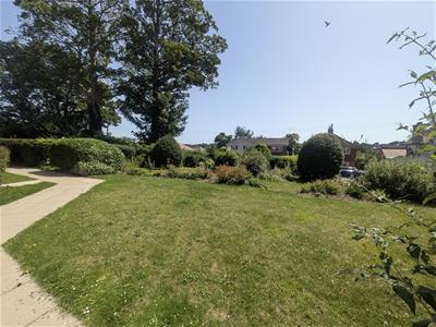 Picture 13